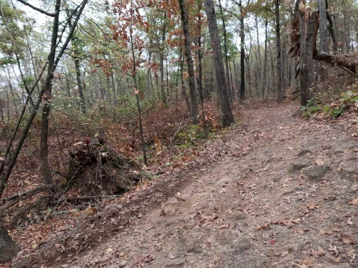 Logging Bank Trail (FSR #94449B) photo 3