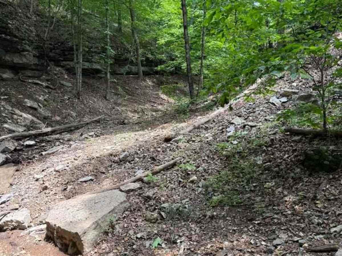 Jana's Trail photo 5