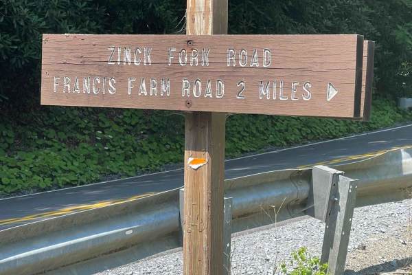 Zink Fork Road