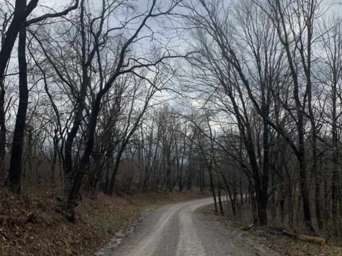 Life Wide Open - Scenic Trail photo 4
