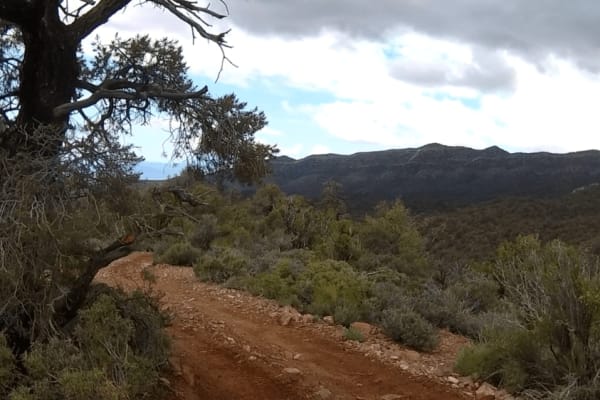 Spring Mountain Recreation Area - Side Trail 01