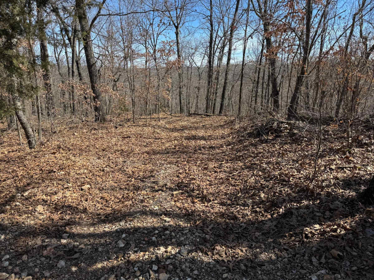 Red 382 trail photo