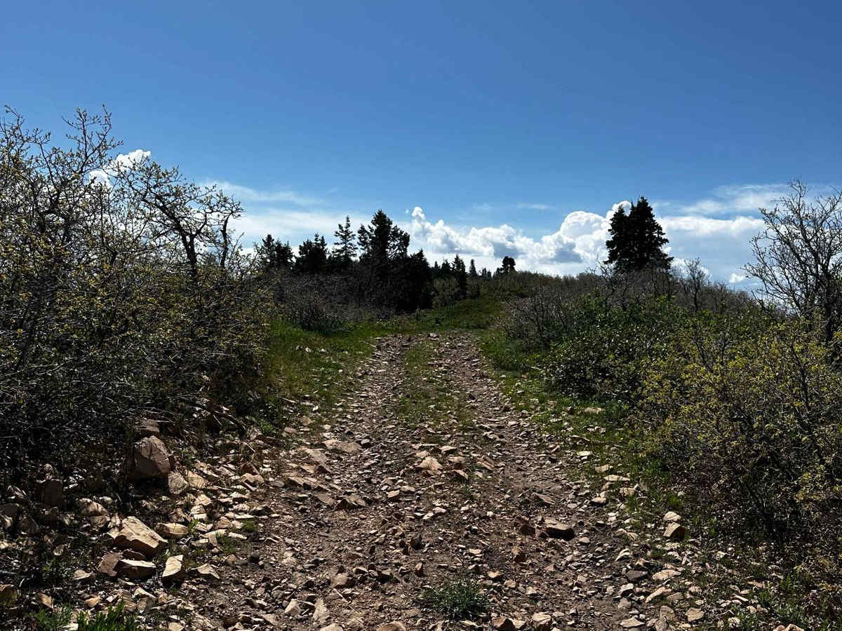 Wallsburg Ridge Trail photo 4