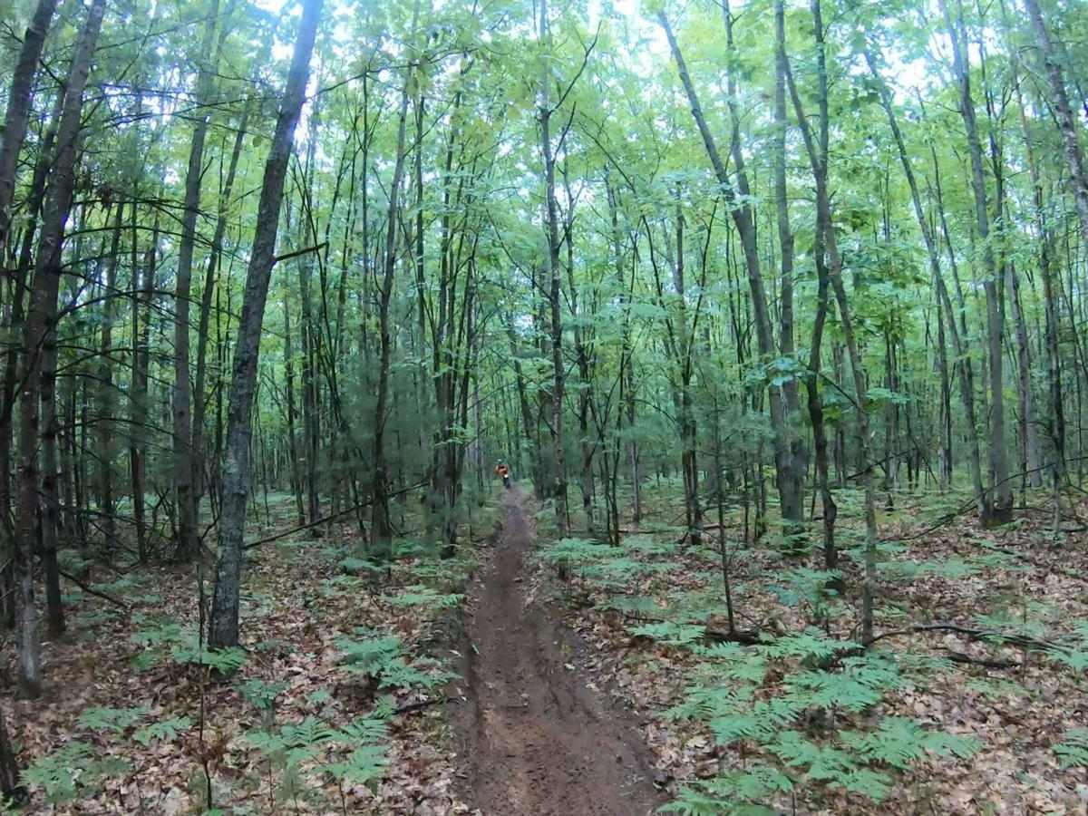 Lincoln Hills Single Track trail photo