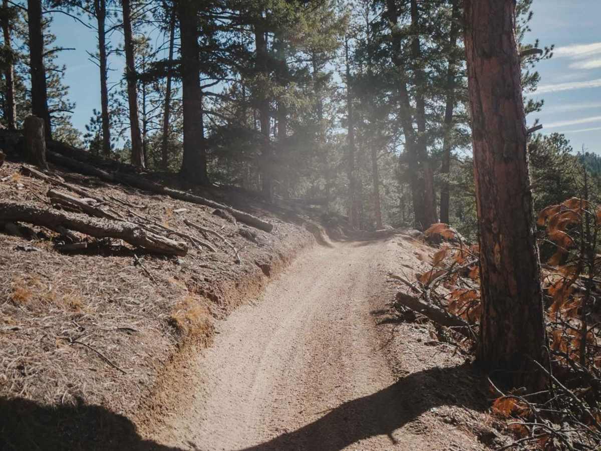 627 Beginner ATV Trail photo 4