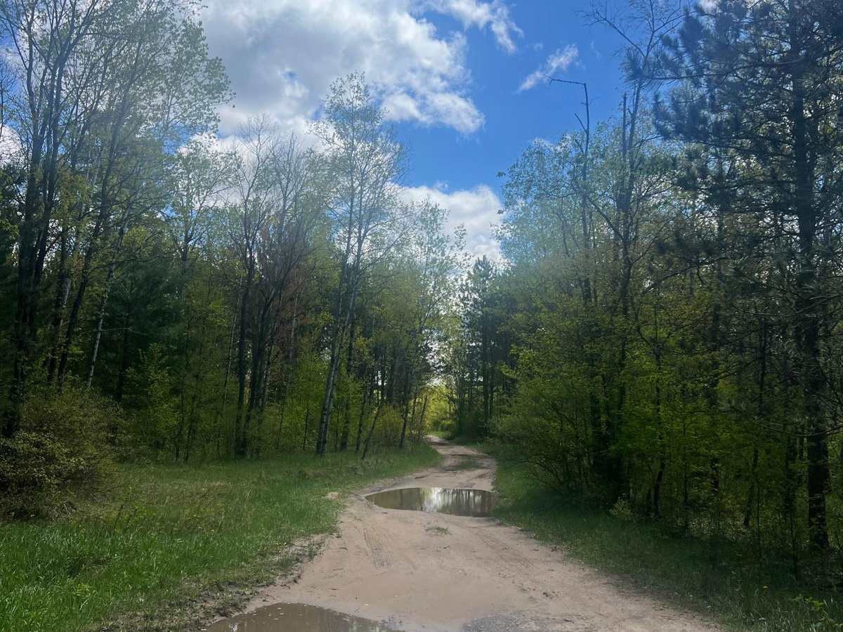 Fish Hook Trail trail photo