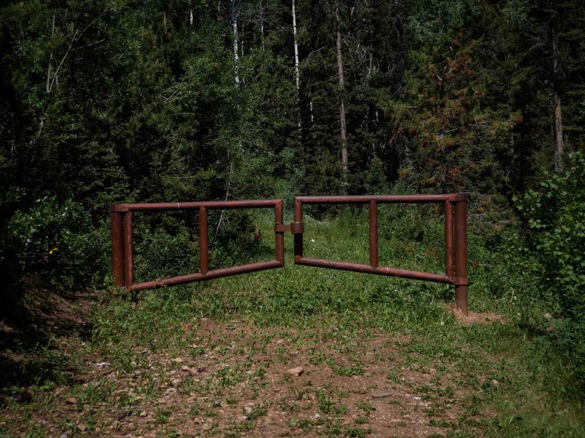Cow Fork Bench #3373 photo 2