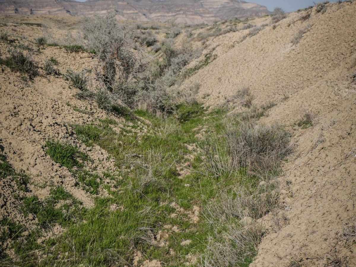 BLM Route 185 photo 5