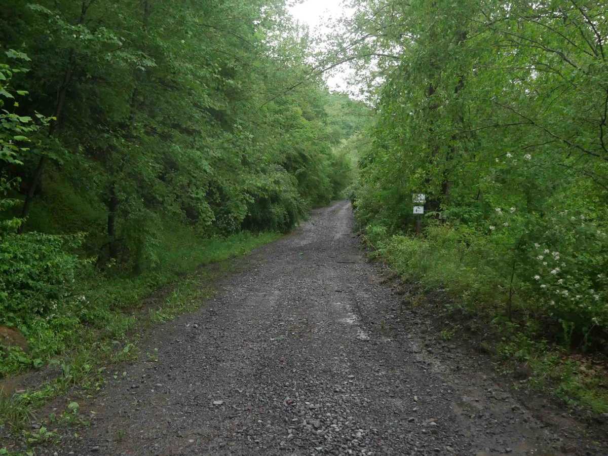 CC5 trail photo
