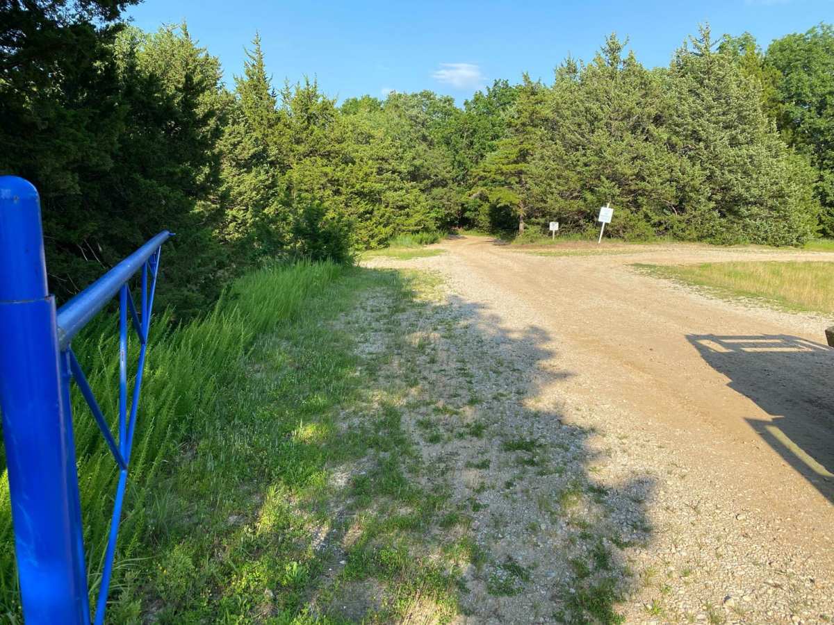 Main Loop photo 6