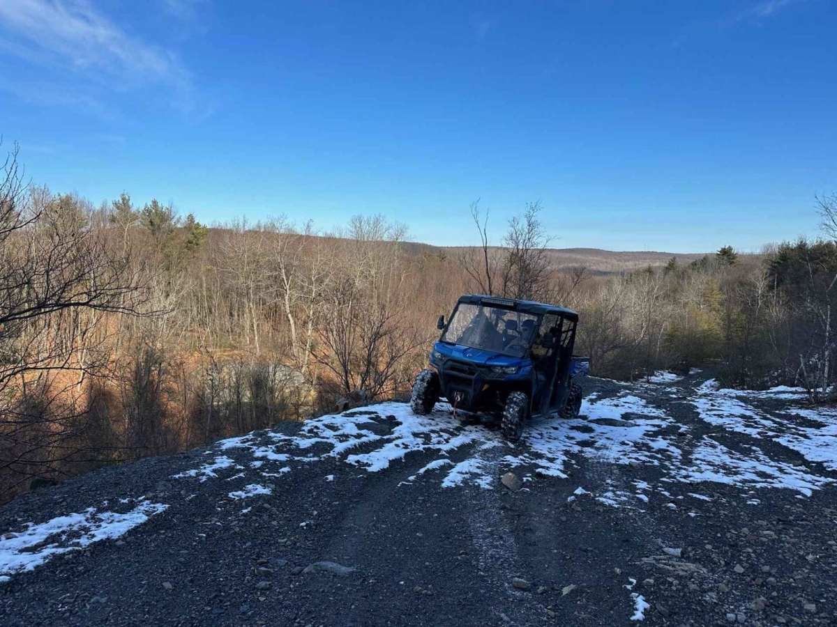 Locust Gap 35 photo 2