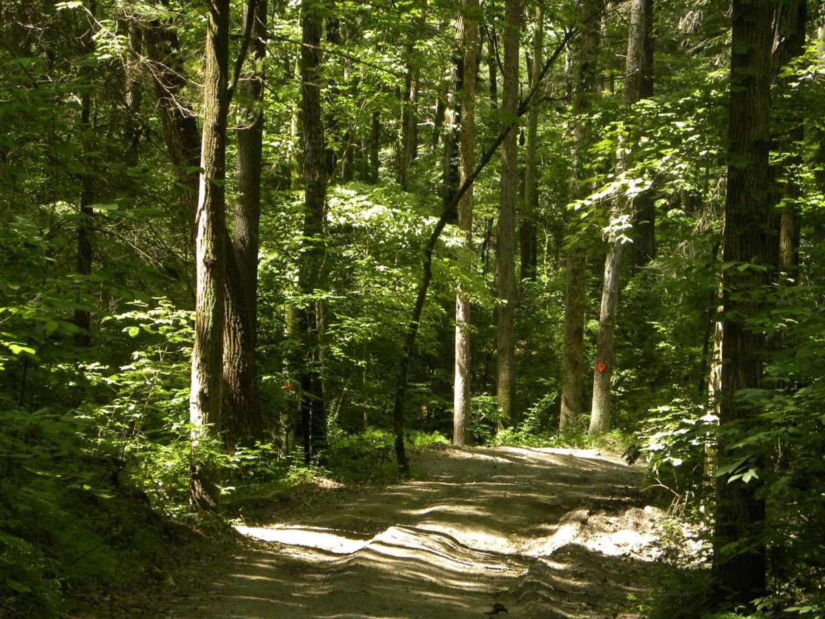 Trail 2D(easy) photo 5