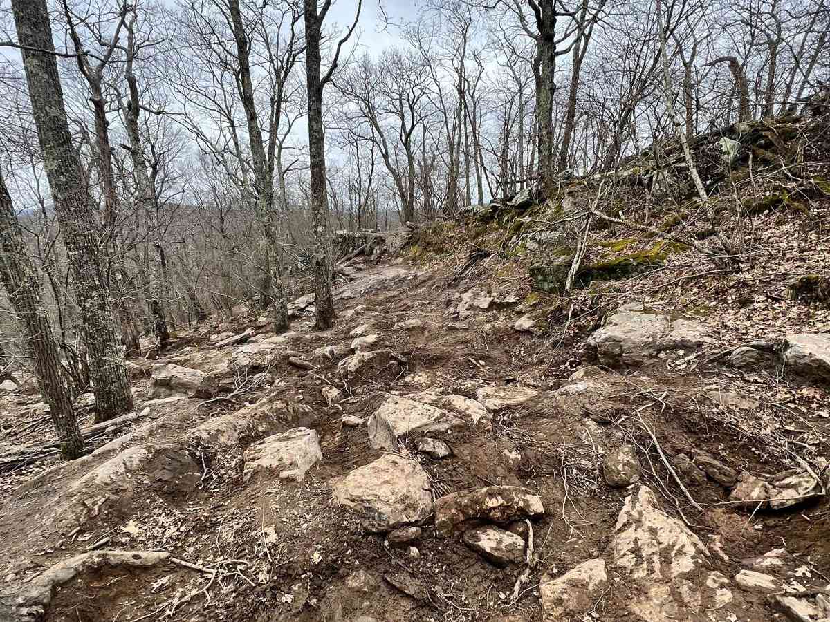 Potts Mountain Jeep Trail photo 2