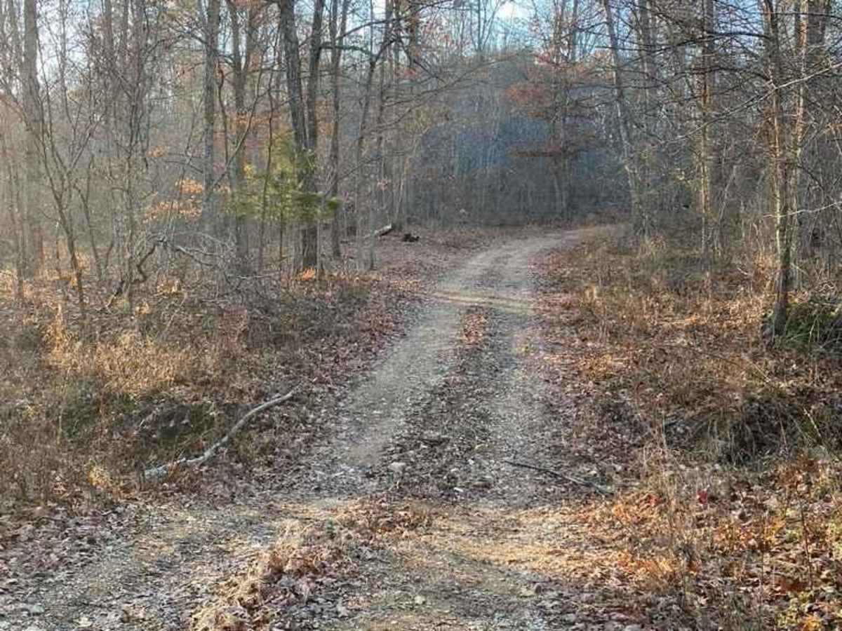 Dogtrot Hollow FSR 2134 photo 5