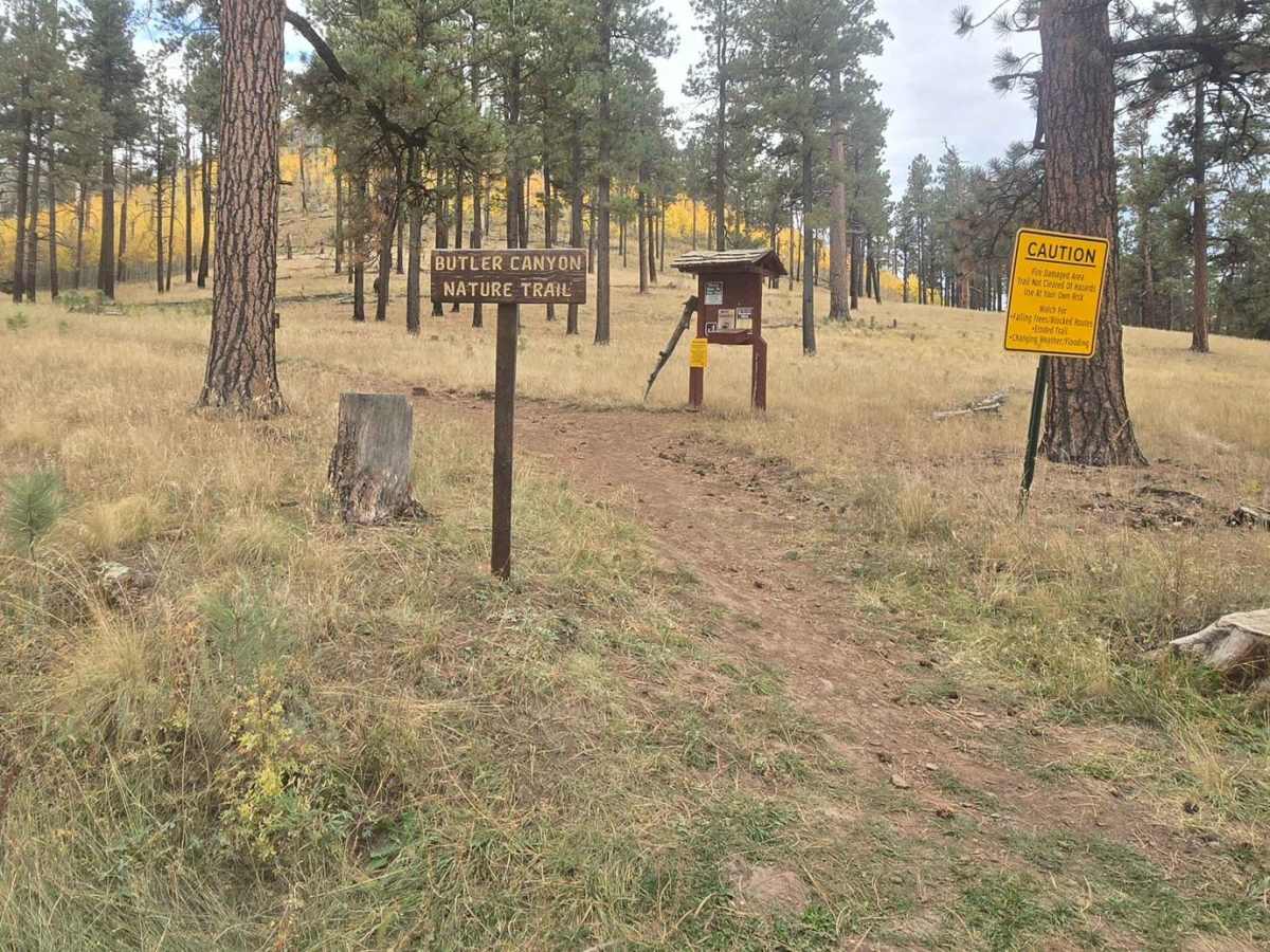 East Fork photo 2