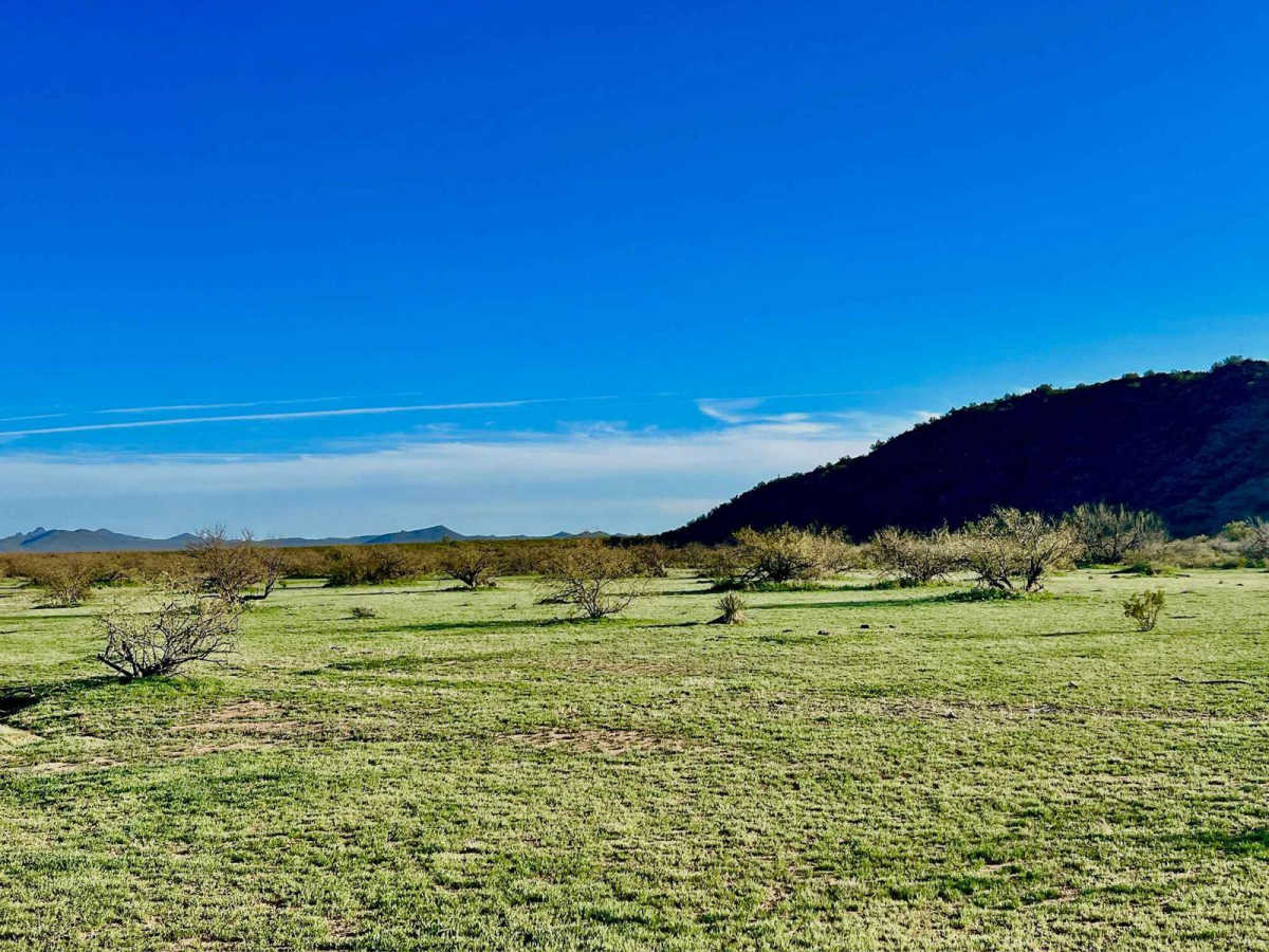 Black Mountain East photo 4