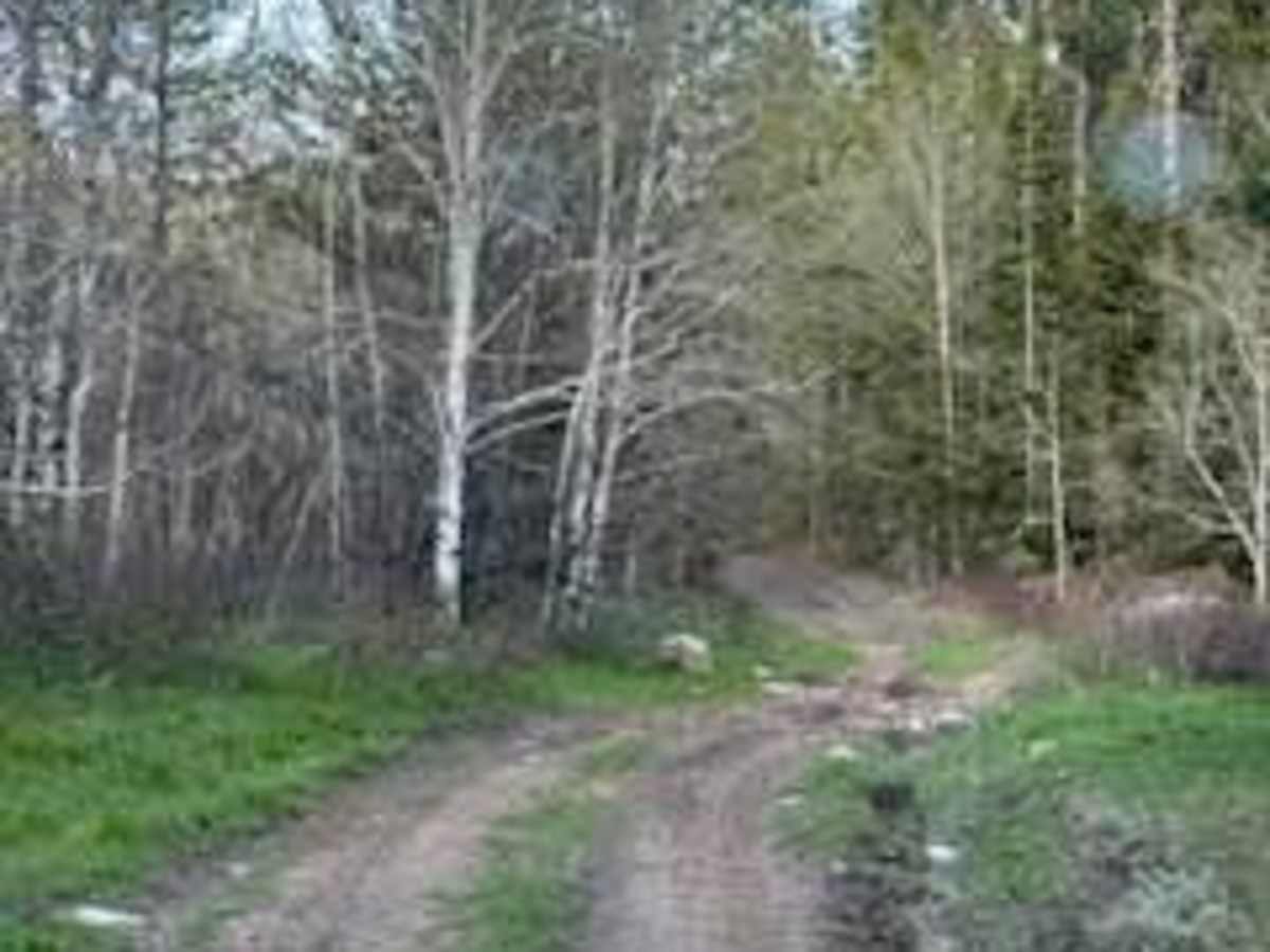 Manning Creek photo 3