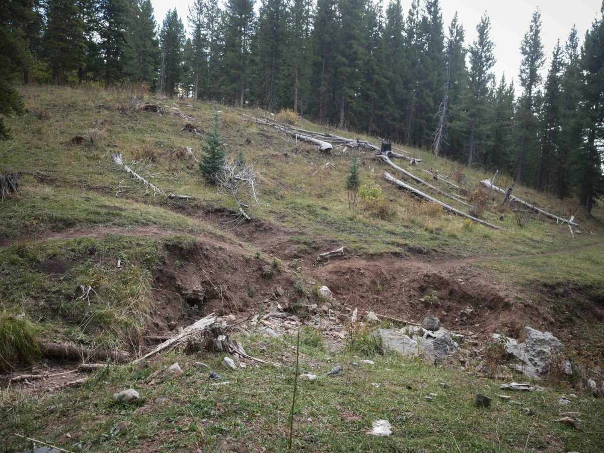 Bear Creek photo 4