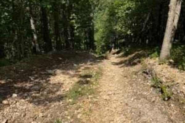Dale's Trail