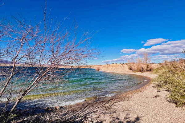 Willow Tree Cove