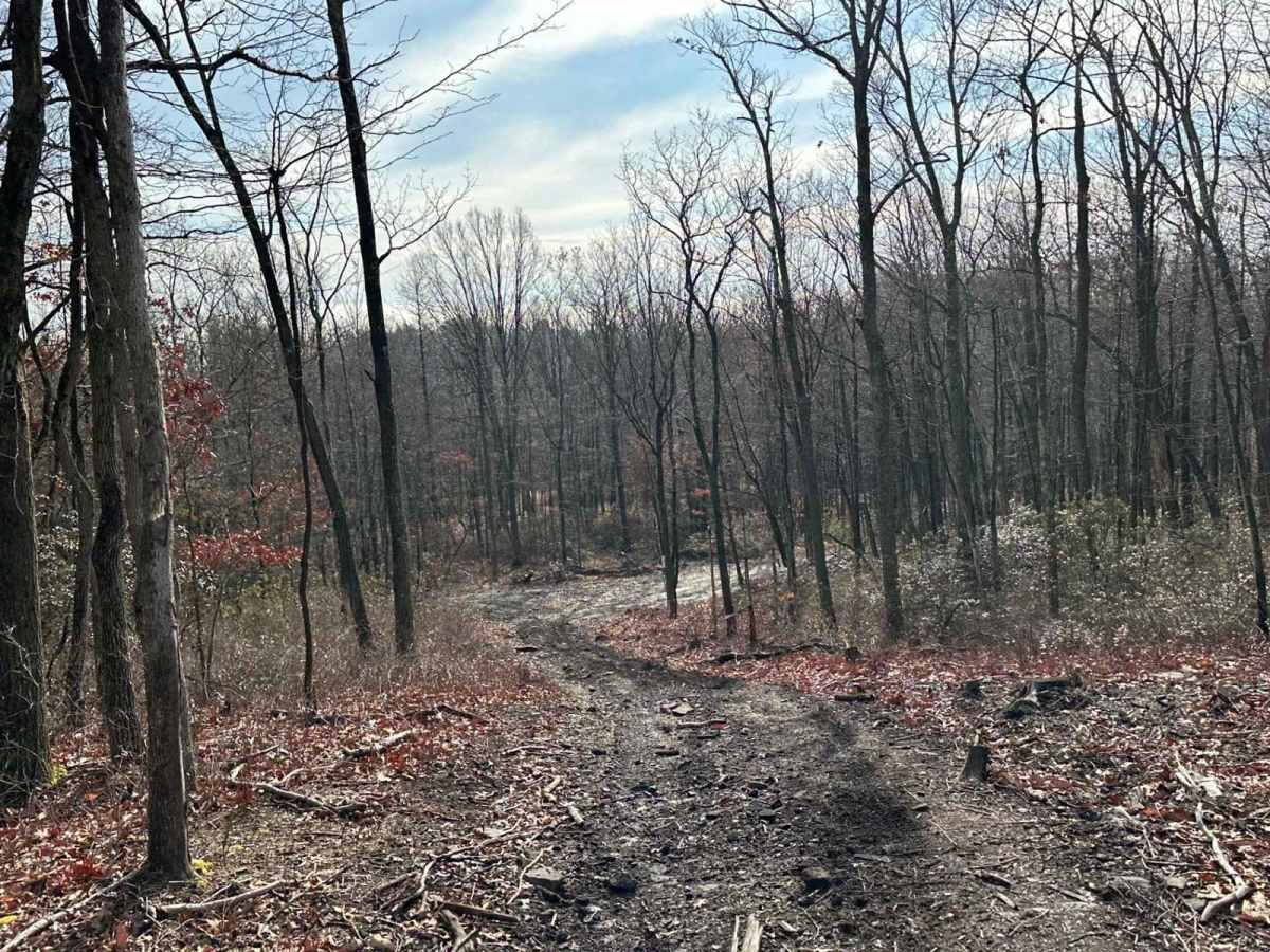 Darkwater 92 trail photo