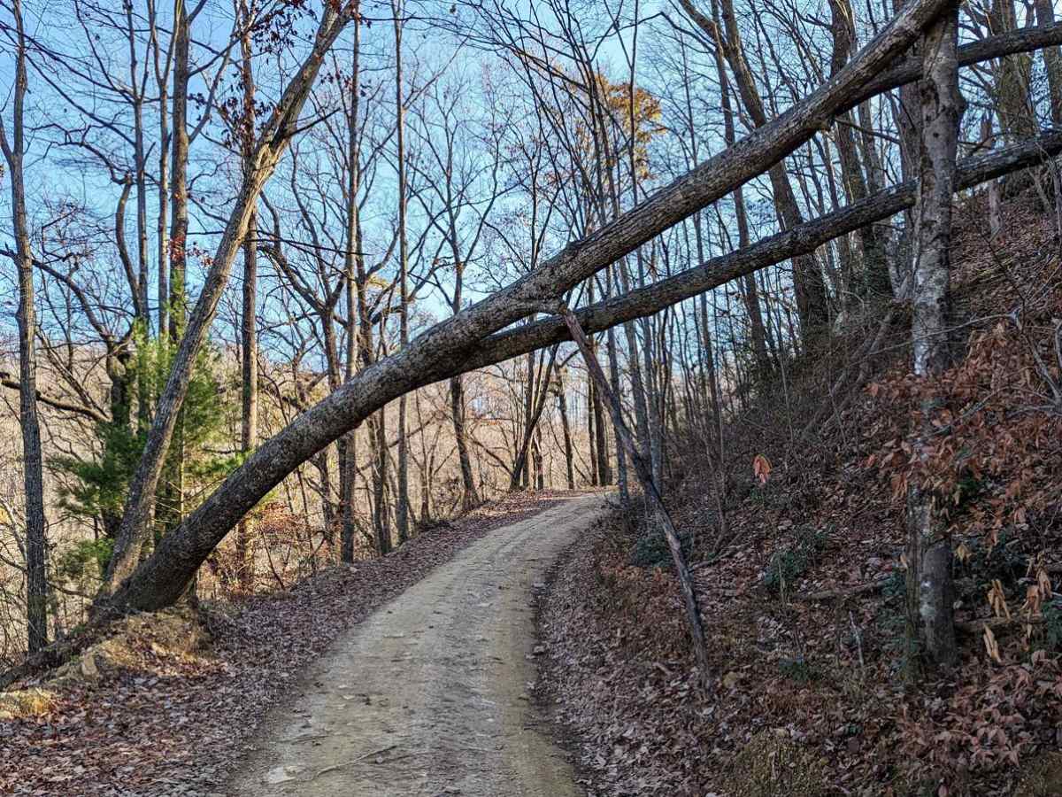 Trail 2 photo 3