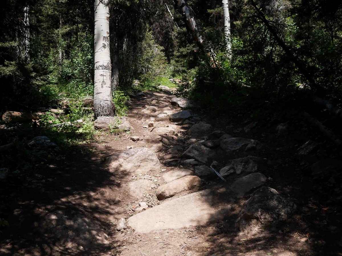 Squirrel Hollow #3358  photo 3