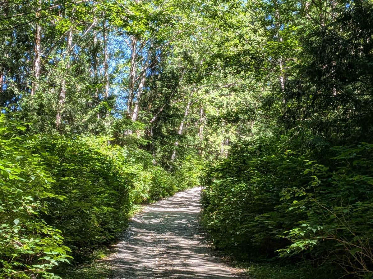 Virgin Falls trail photo