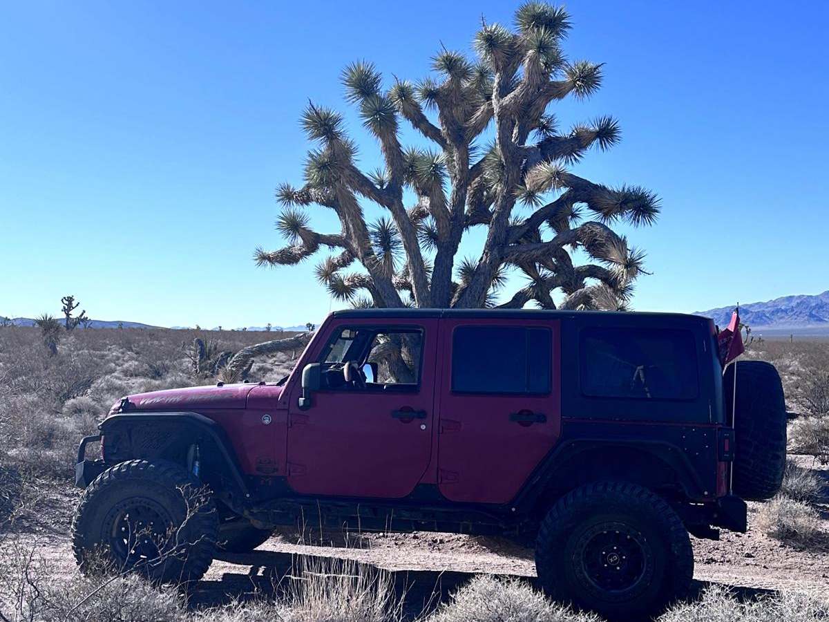BLM Route 7090 trail photo