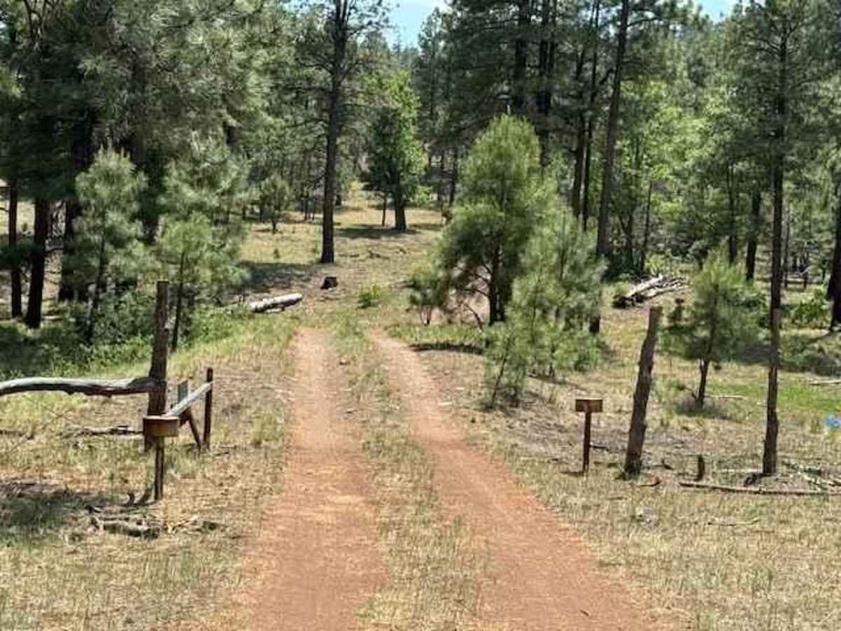 Meadow Loop photo 3