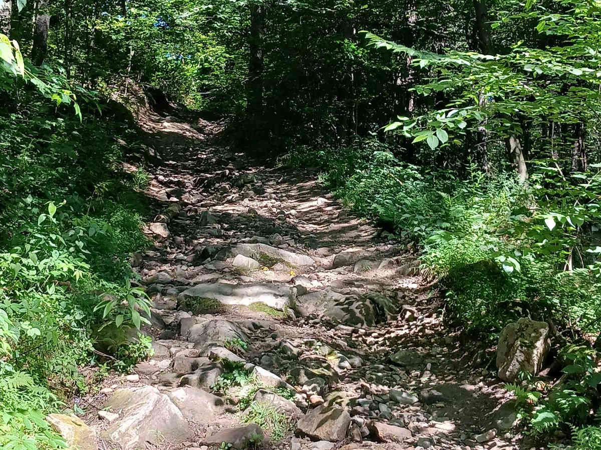 Trail 14A - Rock Run Recreation Area photo 3