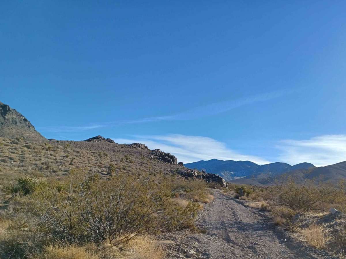 552 Mining Entry Road photo 3
