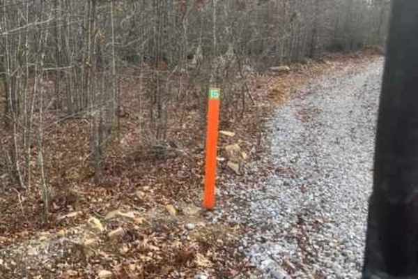 Coalmont Trail 15