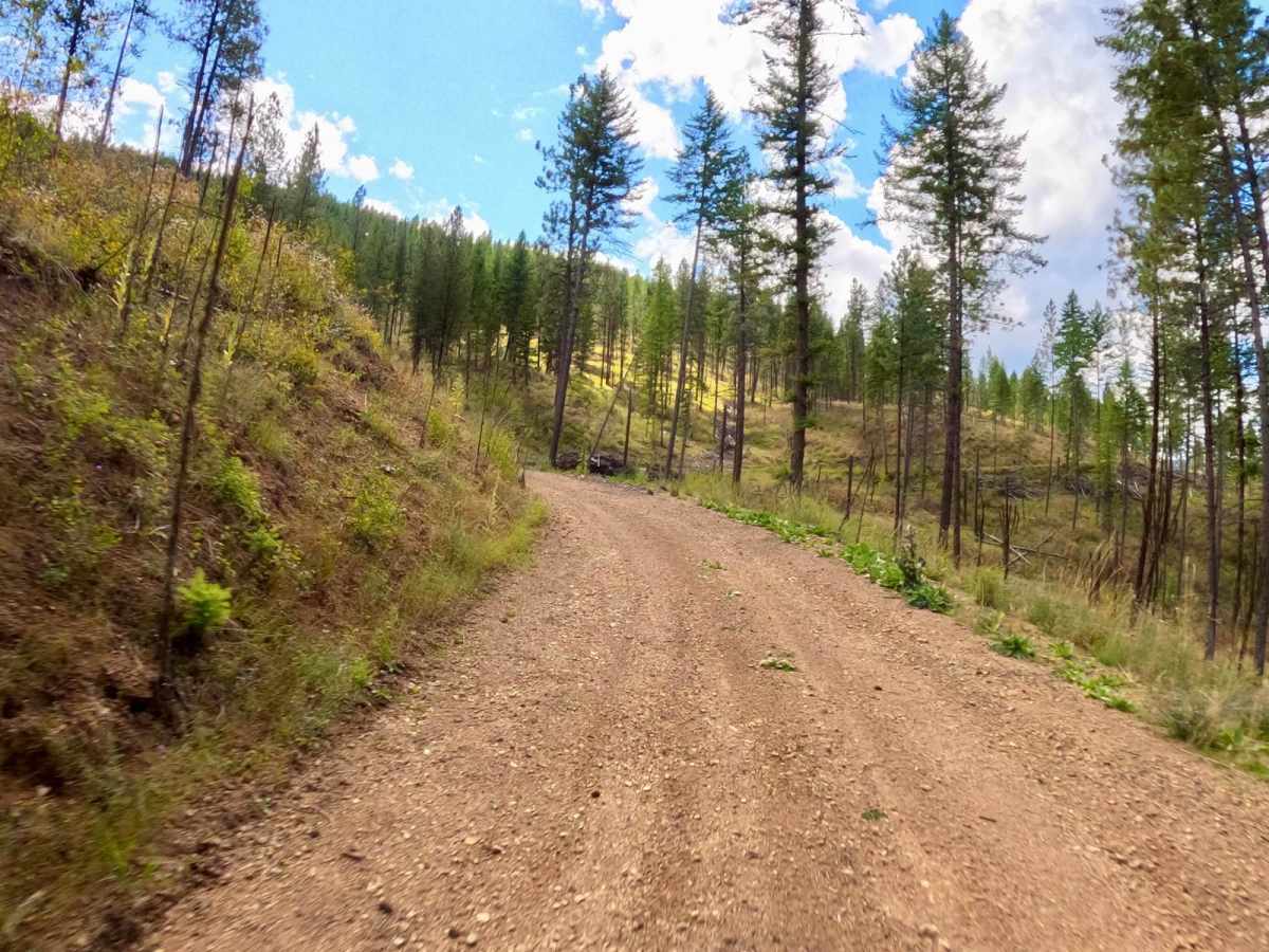 Second Creek Road-Eddy Creek Road 4 Corner trail photo