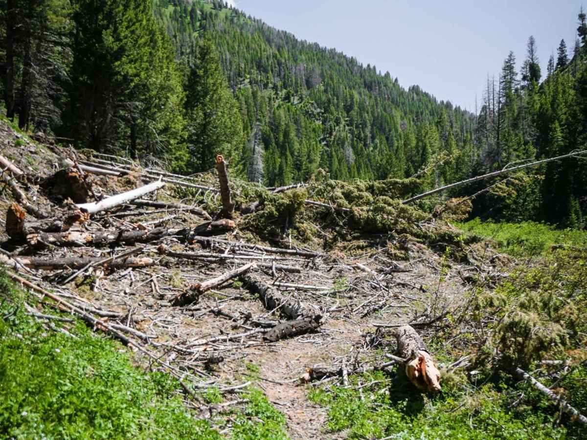 Deer Creek photo 4