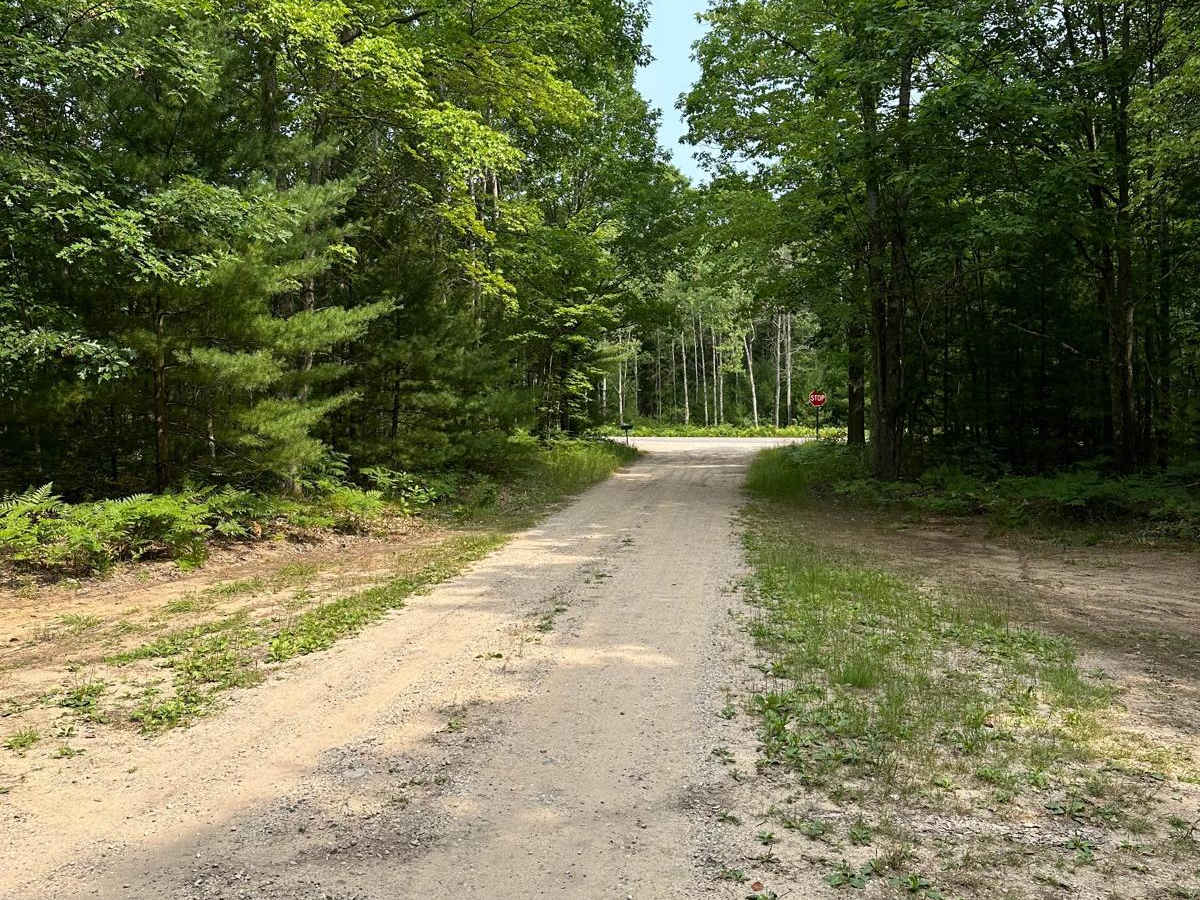 Turtle Lake Trail photo 2