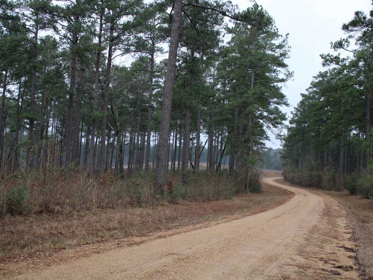 Plane Road (545) photo 3