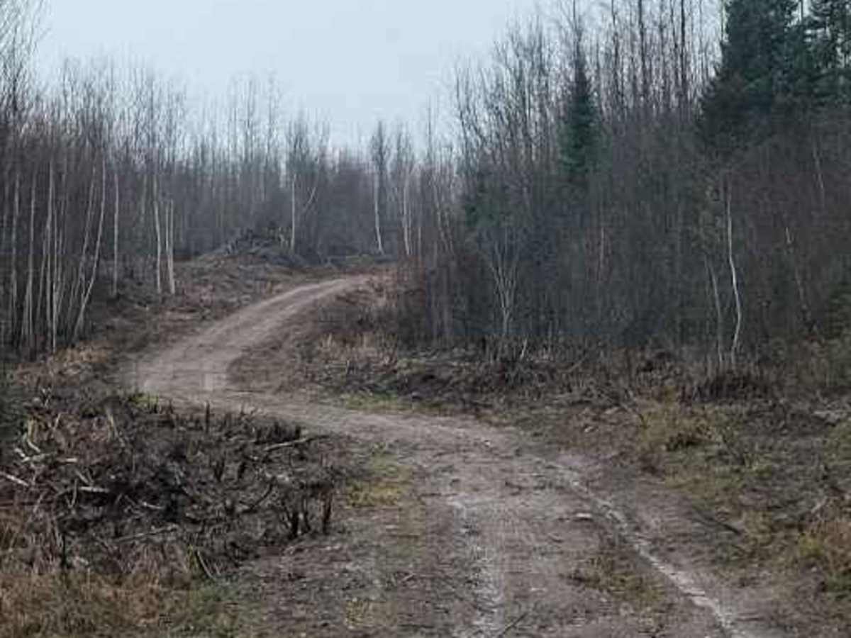 Claudie Pit Backroad photo 2