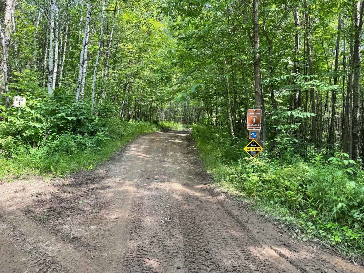 Leaf Lake Loop trail photo