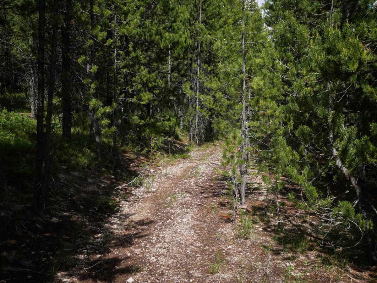 5706 ATV photo 6