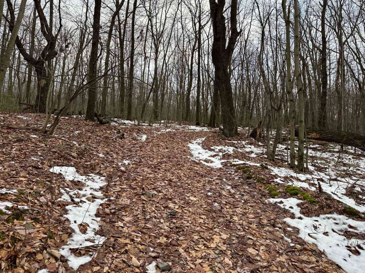 Ashland 182 photo 5