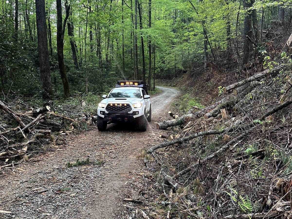 Walnut Fork photo 2