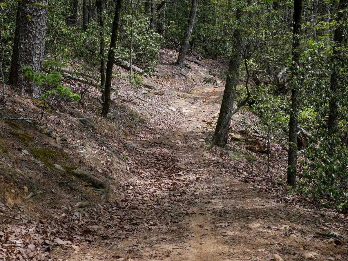 Copperhead Trail B photo 4