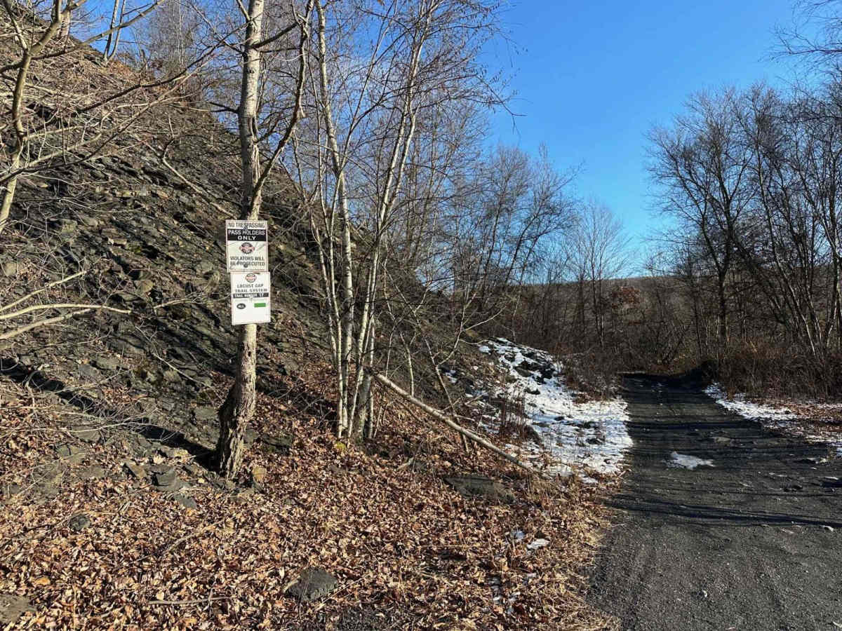 Locust Gap 17 photo 4