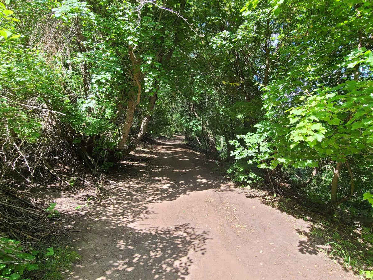 Maple to Sugar Creek trail photo