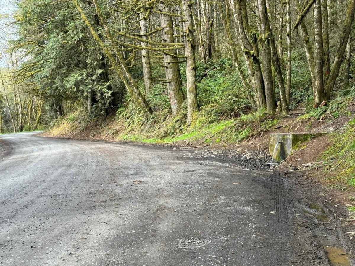 Shaffer Road photo 3