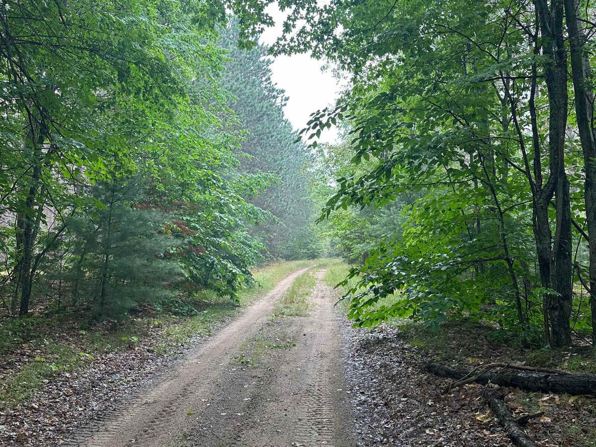 Brozofsky Road photo 2