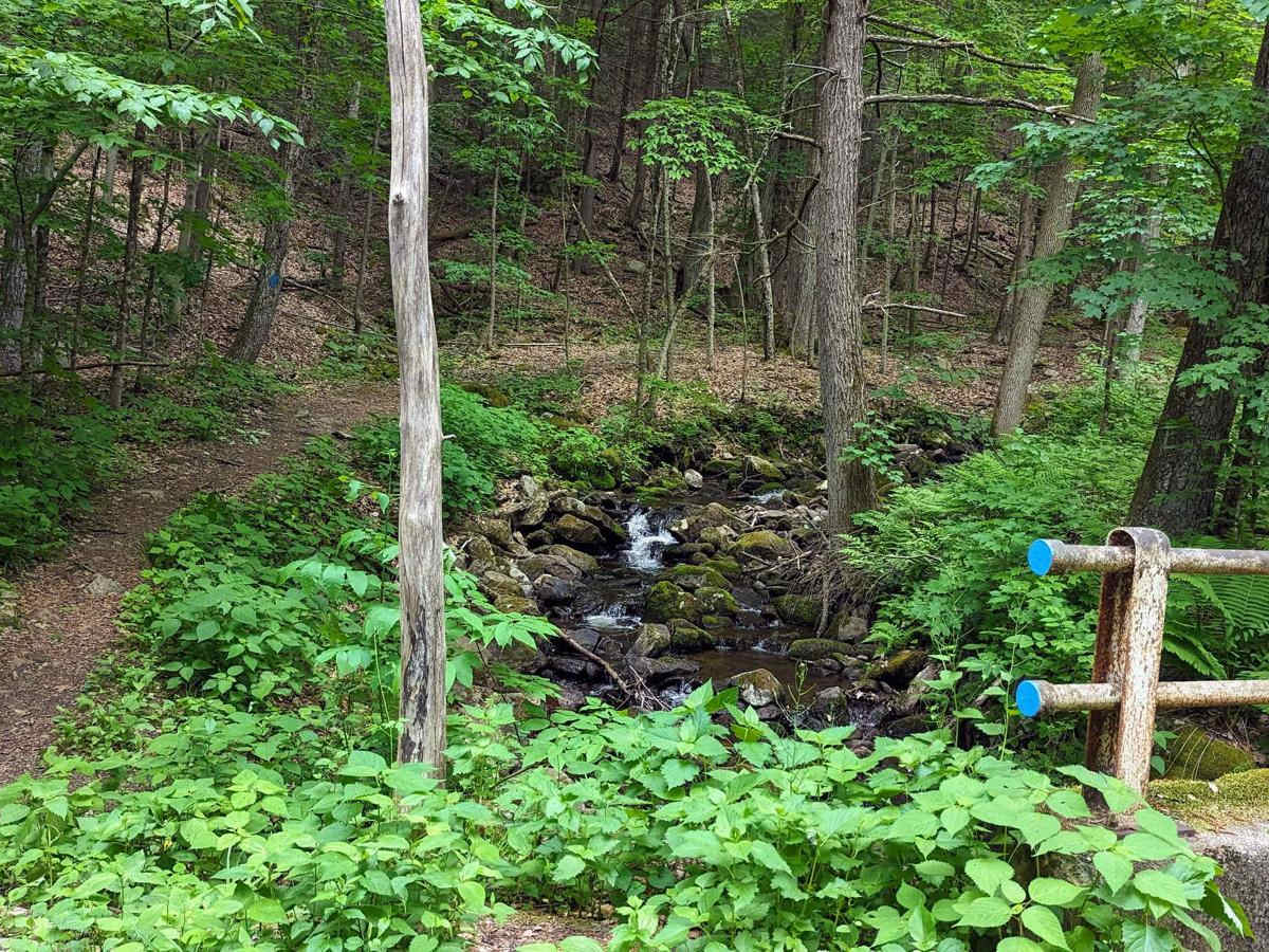 Roaring Brook Road photo 4