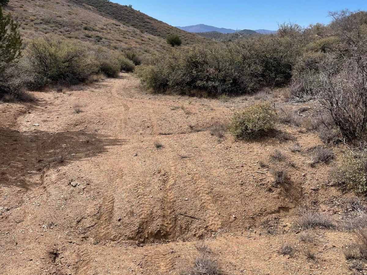 Big Bug & Ruts photo 5