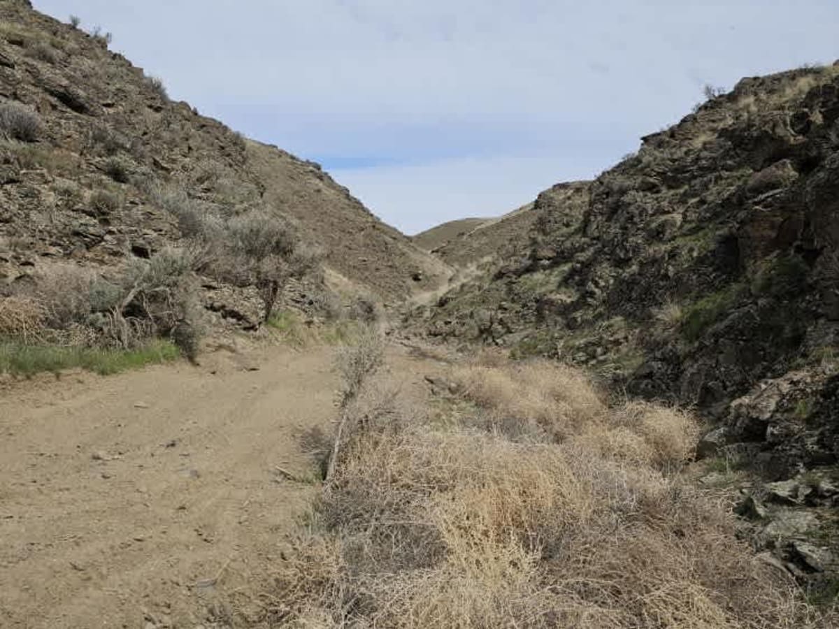 Tumbleweed Ravine photo 5